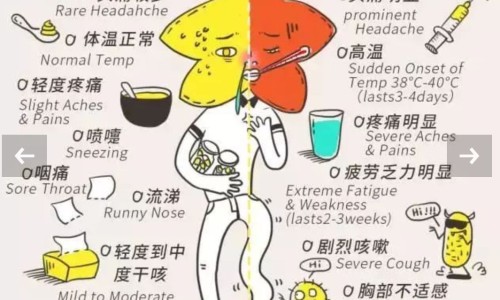 血脂康最忌三种药-血脂康服用禁忌网血脂康服用禁忌什么知识网站,分享血脂康服用禁忌有哪些大全