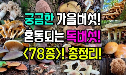 血脂康最忌三种药-血脂康服用禁忌网血脂康服用禁忌什么知识网站,分享血脂康服用禁忌有哪些大全